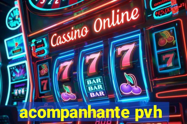 acompanhante pvh